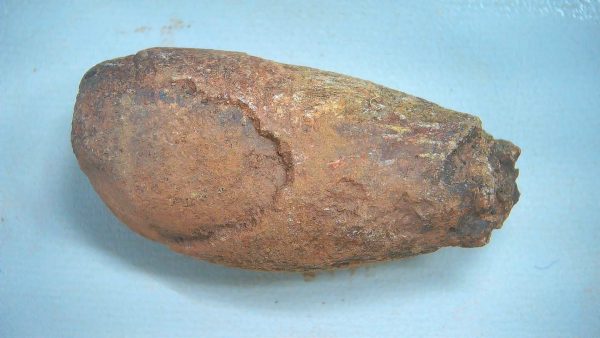 New Mexico Triassic Age Dinosaur Coprolite 89 | Fossils for Sale Genuine Triassic Age Dinosaur Coprolite Fossil for Sale from New Mexico #89