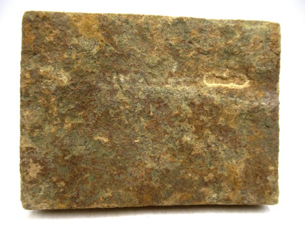 Ukraine Precambrian Nemiana simplex Jellyfish 29a | Fossils for Sale Genuine Precambrian Age Nemiana simplex Jellyfish Fossil for Sale from Ukraine #29a