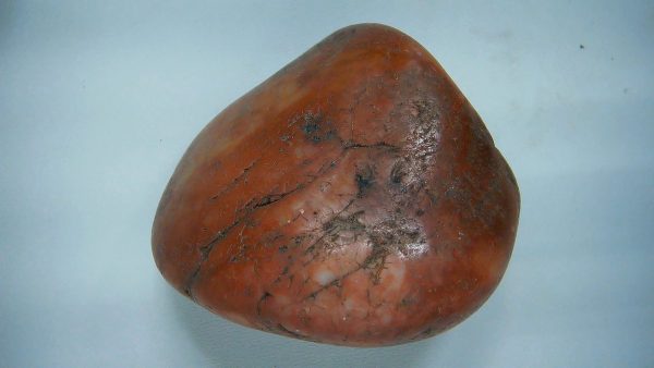 Utah Jurassic Age Dinosaur Gastrolith 22 | Fossils for Sale Genuine Jurassic Age Dinosaur Gastrolith Fossil for Sale from Utah #22
