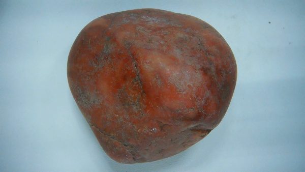 Utah Jurassic Age Dinosaur Gastrolith 22a | Fossils for Sale Genuine Jurassic Age Dinosaur Gastrolith Fossil for Sale from Utah #22a