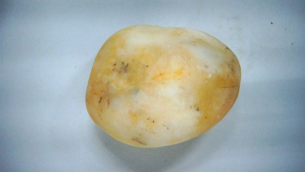 Utah Jurassic Age Dinosaur Gastrolith 23 | Fossils for Sale Genuine Jurassic Age Dinosaur Gastrolith Fossil for Sale from Utah #23