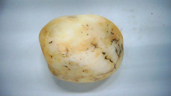 Utah Jurassic Age Dinosaur Gastrolith 23a | Fossils for Sale Genuine Jurassic Age Dinosaur Gastrolith Fossil for Sale from Utah #23a