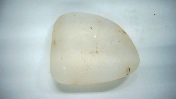 Utah Jurassic Age Dinosaur Gastrolith 25 | Fossils for Sale Genuine Jurassic Age Dinosaur Gastrolith Fossil for Sale from Utah #25