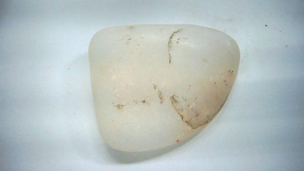 Utah Jurassic Age Dinosaur Gastrolith 25a | Fossils for Sale Genuine Jurassic Age Dinosaur Gastrolith Fossil for Sale from Utah #25a