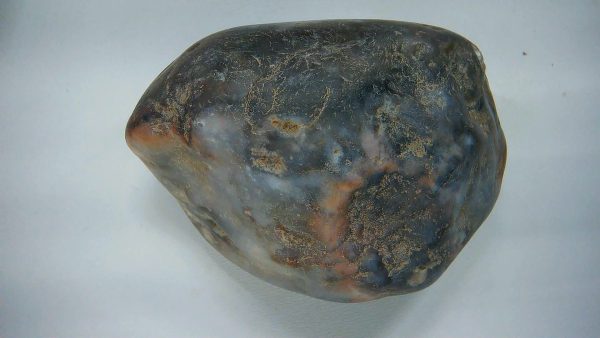 Utah Jurassic Age Dinosaur Gastrolith 26 | Fossils for Sale Genuine Jurassic Age Dinosaur Gastrolith Fossil for Sale from Utah #26