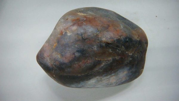 Utah Jurassic Age Dinosaur Gastrolith 26a | Fossils for Sale Genuine Jurassic Age Dinosaur Gastrolith Fossil for Sale from Utah #26a