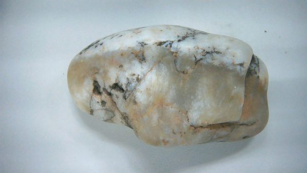 Utah Jurassic Age Dinosaur Gastrolith 30 | Fossils for Sale Genuine Jurassic Age Dinosaur Gastrolith Fossil for Sale from Utah #30