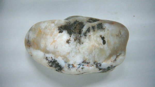 Utah Jurassic Age Dinosaur Gastrolith 30a | Fossils for Sale Genuine Jurassic Age Dinosaur Gastrolith Fossil for Sale from Utah #30a