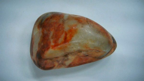 Utah Jurassic Age Dinosaur Gastrolith 32 | Fossils for Sale Genuine Jurassic Age Dinosaur Gastrolith Fossil for Sale from Utah #32