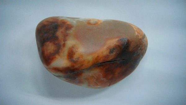 Utah Jurassic Age Dinosaur Gastrolith 32a | Fossils for Sale Genuine Jurassic Age Dinosaur Gastrolith Fossil for Sale from Utah #32a