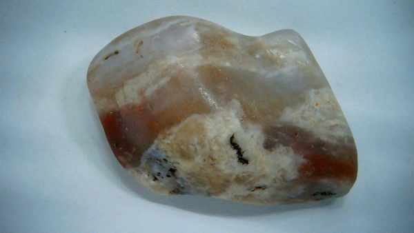 Utah Jurassic Age Dinosaur Gastrolith 34 | Fossils for Sale Genuine Jurassic Age Dinosaur Gastrolith Fossil for Sale from Utah #34