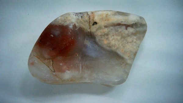 Utah Jurassic Age Dinosaur Gastrolith 34a | Fossils for Sale Genuine Jurassic Age Dinosaur Gastrolith Fossil for Sale from Utah #34a