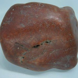 Genuine Jurassic Age Dinosaur Gastrolith Fossil for Sale from Utah #39