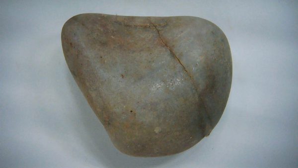 Utah Jurassic Age Dinosaur Gastrolith 40 | Fossils for Sale Genuine Jurassic Age Dinosaur Gastrolith Fossil for Sale from Utah #40