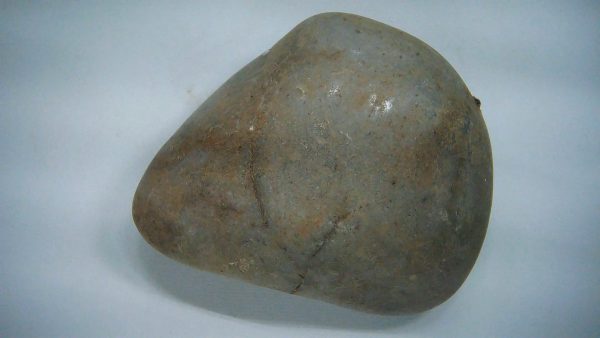 Utah Jurassic Age Dinosaur Gastrolith 40a | Fossils for Sale Genuine Jurassic Age Dinosaur Gastrolith Fossil for Sale from Utah #40a