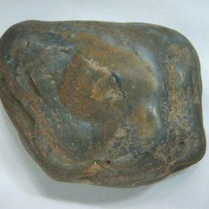 Genuine Jurassic Age Dinosaur Gastrolith Fossil for Sale from Utah #41