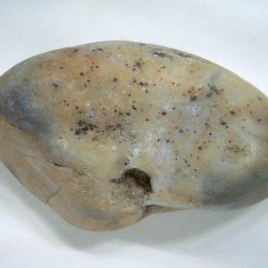 Genuine Jurassic Age Dinosaur Gastrolith Fossil for Sale from Utah #42