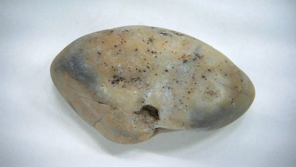Utah Jurassic Age Dinosaur Gastrolith 42 | Fossils for Sale Genuine Jurassic Age Dinosaur Gastrolith Fossil for Sale from Utah #42