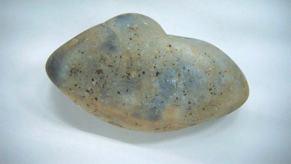 Utah Jurassic Age Dinosaur Gastrolith 42a | Fossils for Sale Genuine Jurassic Age Dinosaur Gastrolith Fossil for Sale from Utah #42a