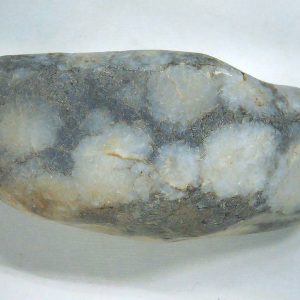 Genuine Jurassic Age Dinosaur Gastrolith Fossil for Sale from Utah #44