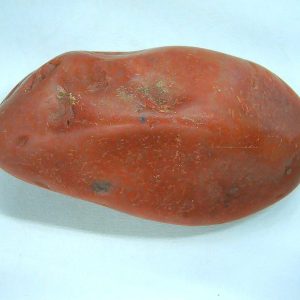 Genuine Jurassic Age Dinosaur Gastrolith Fossil for Sale from Utah #45