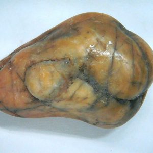 Genuine Jurassic Age Dinosaur Gastrolith Fossil for Sale from Utah #46