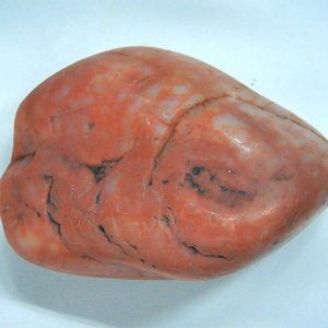 Genuine Jurassic Age Dinosaur Gastrolith Fossil for Sale from Utah #47