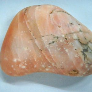 Genuine Jurassic Age Dinosaur Gastrolith Fossil for Sale from Utah #48