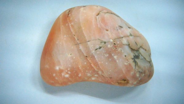 Utah Jurassic Age Dinosaur Gastrolith 48 | Fossils for Sale Genuine Jurassic Age Dinosaur Gastrolith Fossil for Sale from Utah #48