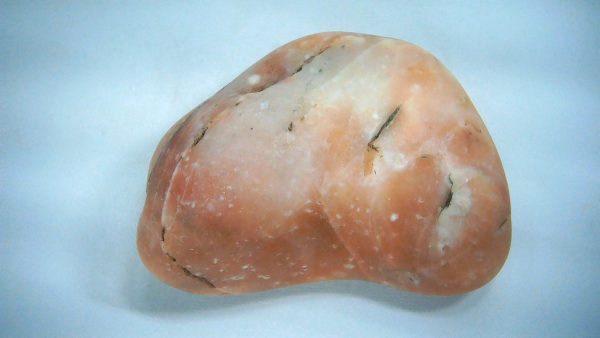 Utah Jurassic Age Dinosaur Gastrolith 48a | Fossils for Sale Genuine Jurassic Age Dinosaur Gastrolith Fossil for Sale from Utah #48a