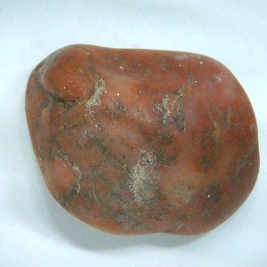 Genuine Jurassic Age Dinosaur Gastrolith Fossil for Sale from Utah #49