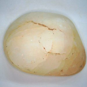 Genuine Jurassic Age Dinosaur Gastrolith Fossil for Sale from Utah #50