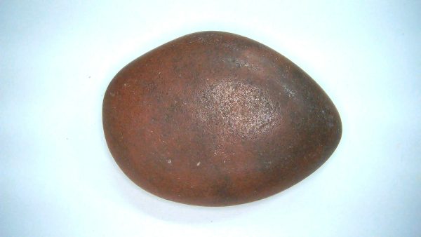 Utah Jurassic Age Dinosaur Gastrolith 53a | Fossils for Sale Genuine Jurassic Age Dinosaur Gastrolith Fossil for Sale from Utah #53a
