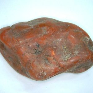 Genuine Jurassic Age Dinosaur Gastrolith Fossil for Sale from Utah #54