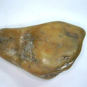 Genuine Jurassic Age Dinosaur Gastrolith Fossil for Sale from Utah #55