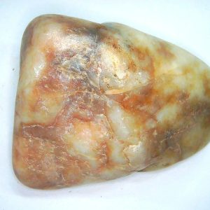 Genuine Jurassic Age Dinosaur Gastrolith Fossil for Sale from Utah #56