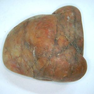 Genuine Jurassic Age Dinosaur Gastrolith Fossil for Sale from Utah #57