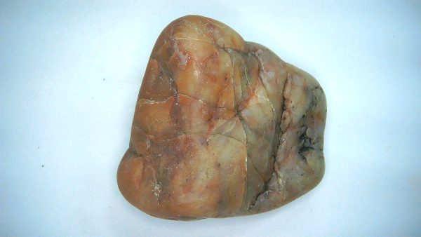 Utah Jurassic Age Dinosaur Gastrolith 57a | Fossils for Sale Genuine Jurassic Age Dinosaur Gastrolith Fossil for Sale from Utah #57a