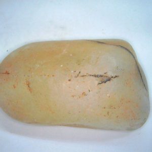 Genuine Jurassic Age Dinosaur Gastrolith Fossil for Sale from Utah #58