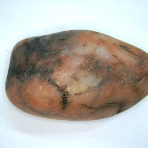 Genuine Jurassic Age Dinosaur Gastrolith Fossil for Sale from Utah #59