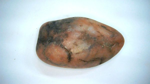 Utah Jurassic Age Dinosaur Gastrolith 59 | Fossils for Sale Genuine Jurassic Age Dinosaur Gastrolith Fossil for Sale from Utah #59