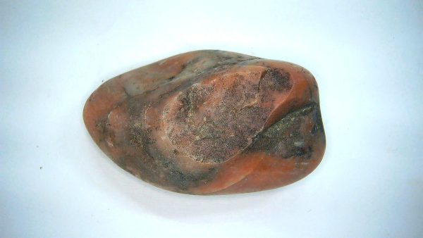 Utah Jurassic Age Dinosaur Gastrolith 59a | Fossils for Sale Genuine Jurassic Age Dinosaur Gastrolith Fossil for Sale from Utah #59a