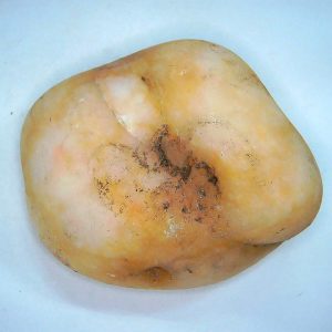 Genuine Jurassic Age Dinosaur Gastrolith Fossil for Sale from Utah #60