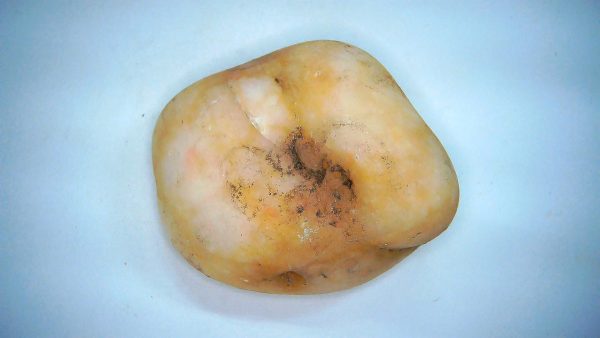 Utah Jurassic Age Dinosaur Gastrolith 60 | Fossils for Sale Genuine Jurassic Age Dinosaur Gastrolith Fossil for Sale from Utah #60