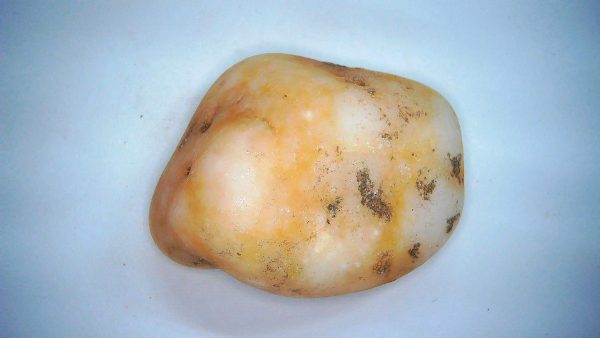 Utah Jurassic Age Dinosaur Gastrolith 60a | Fossils for Sale Genuine Jurassic Age Dinosaur Gastrolith Fossil for Sale from Utah #60a
