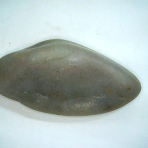 Genuine Jurassic Age Dinosaur Gastrolith Fossil for Sale from Utah #61a