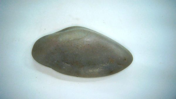 Utah Jurassic Age Dinosaur Gastrolith 61 | Fossils for Sale Genuine Jurassic Age Dinosaur Gastrolith Fossil for Sale from Utah #61a