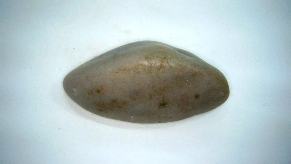 Utah Jurassic Age Dinosaur Gastrolith 61a | Fossils for Sale Genuine Jurassic Age Dinosaur Gastrolith Fossil for Sale from Utah #61a
