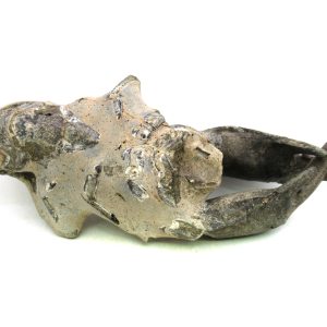 Indonesia Miocene Thalasinna Mangrove Lobster 5 | Fossils for Sale General Miocene Age Thalasinna Mangrove Lobster Fossils For Sale From Indonesia #5