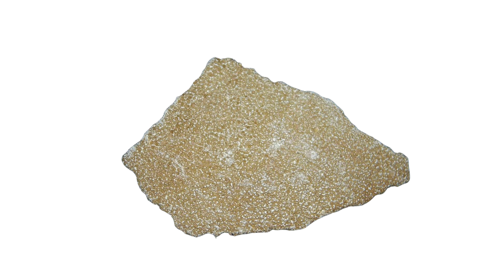 France Cretaceous Titanosaur Dinosaur Egg Shell 12 | Fossils for Sale Genuine Cretaceous Titanosaur Egg Shell Fossils for Sale from France #12